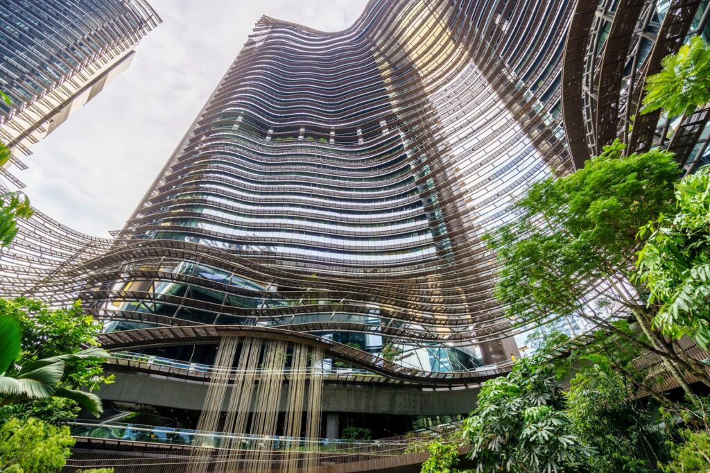 Green‑Space Gains: How Nature‑Based Therapies Reshape Corporate Career Capital