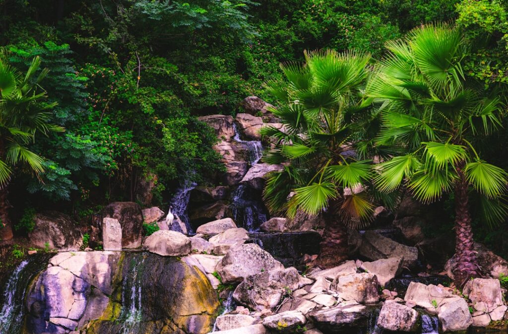 Green‑Space Gains: How Nature‑Based Therapies Reshape Corporate Career Capital