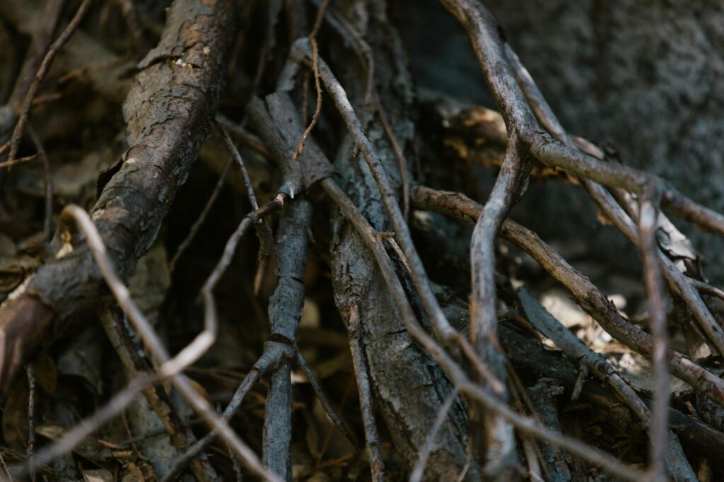 Grief-Informed Career Architecture: Redefining Talent Capital in an Era of Trauma