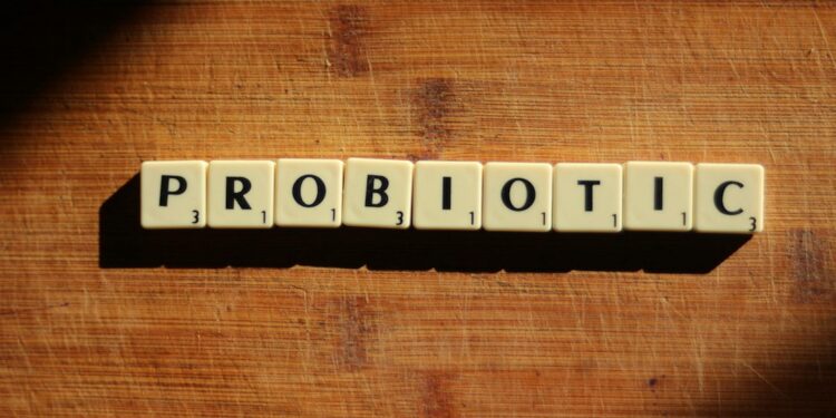 Gut‑Brain Leverage: How Microbiome‑Based Wellness Programs Are Reshaping Corporate Mental‑Health Capital