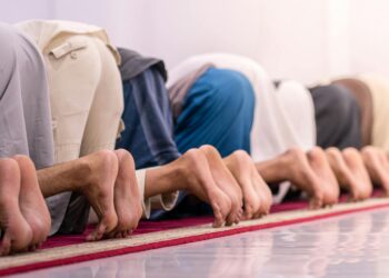 Humility as a Structural Lever: Redesigning Performance Management for Sustainable Career Capital