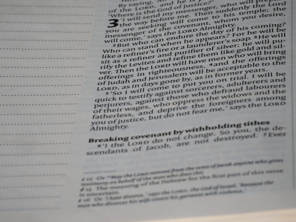 Independent Boards Reshape Mid‑Size Firms: A Structural Shift in Governance