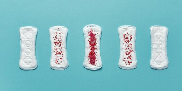 Menstrual Equity as a Structural Lever for Women‑Led Enterprises in the Global South