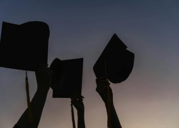 Micro‑Credentials Redefine Career Capital in a Modular Economy