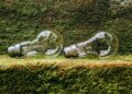Micro‑Sustainability Goes Mainstream: How Small‑Scale Green Initiatives Reshape Corporate Power and Career Capital