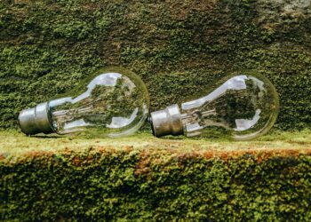 Micro‑Sustainability Goes Mainstream: How Small‑Scale Green Initiatives Reshape Corporate Power and Career Capital