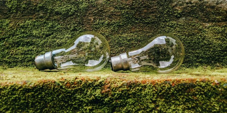Micro‑Sustainability Goes Mainstream: How Small‑Scale Green Initiatives Reshape Corporate Power and Career Capital