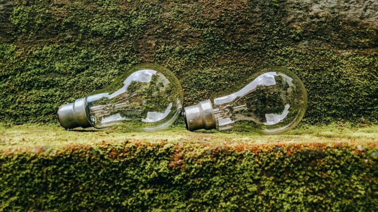 Micro‑Sustainability Goes Mainstream: How Small‑Scale Green Initiatives Reshape Corporate Power and Career Capital