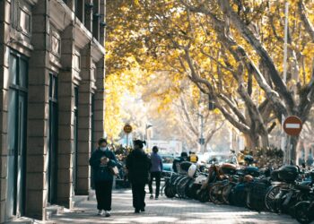 Micromobility’s Post‑Pandemic Ascendance Reshapes Urban Labor, Health, and Power Structures