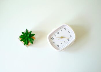 Minimalism’s Corporate Turn: Structural Shifts in Engagement, Mobility, and Leadership