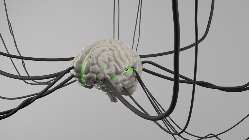 Neural Design: How Brain Science Is Reshaping the Power Structure of Digital Interfaces