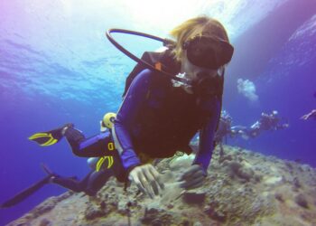 Ocean Frontiers: How Cutting‑Edge Exploration Tech Is Reshaping Marine‑Conservation Careers