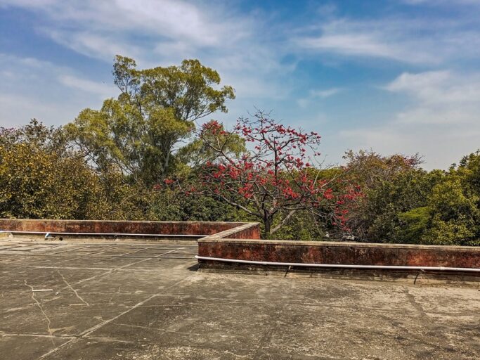 Delhi University Boosts Research Focus in Undergraduate Curriculum
