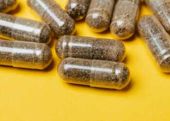 Psychedelics at Work: How Microdosing Is Re‑Shaping Institutional Productivity Frameworks