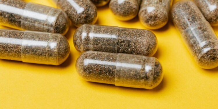 Psychedelics at Work: How Microdosing Is Re‑Shaping Institutional Productivity Frameworks