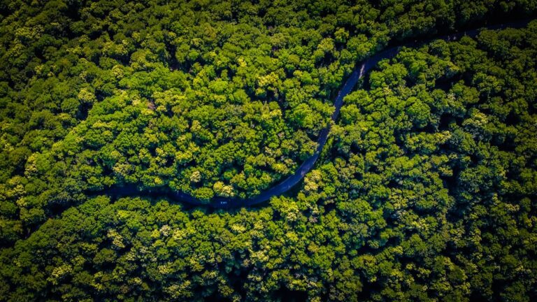 Evaluating Europe’s Conservation Targets and Policies