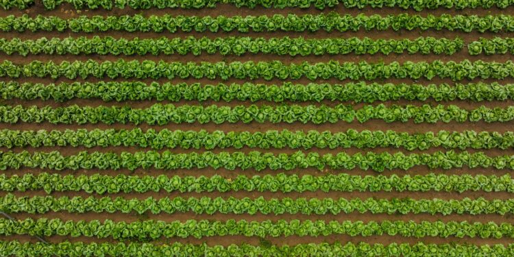 Regenerative Agriculture Reshapes Labor, Capital, and Policy in the Food System