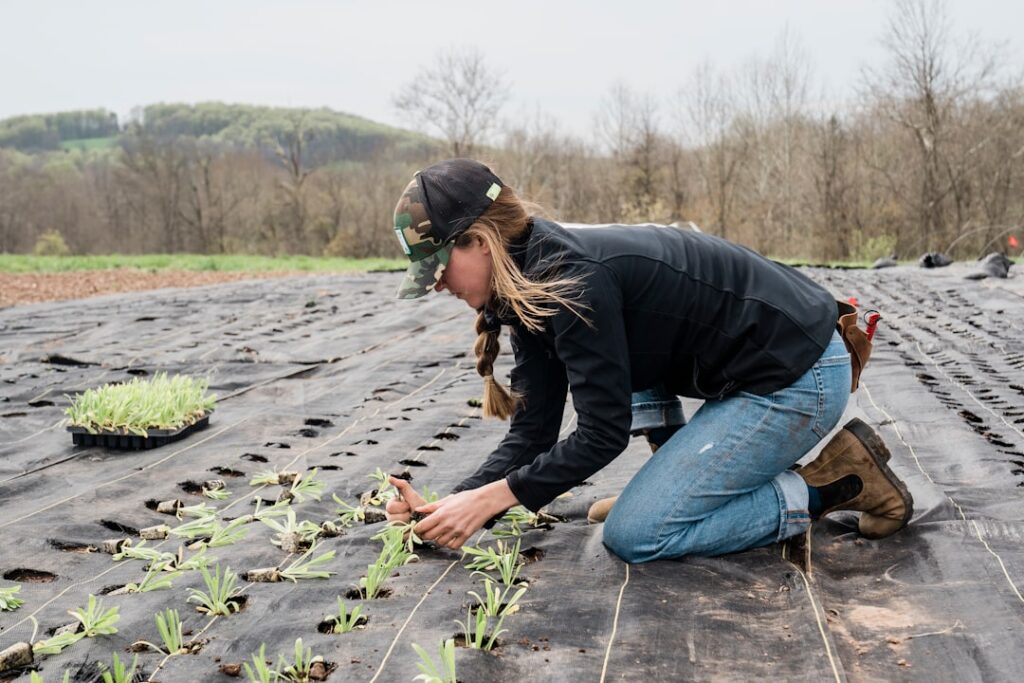 Regenerative Agriculture Reshapes Labor, Capital, and Policy in the Food System