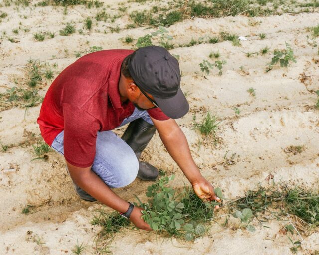 Regenerative Agriculture’s Structural Upswing: How Soil‑Centric Practices Could Redefine Food Security, Climate Resilience, and Rural Careers in the Global South