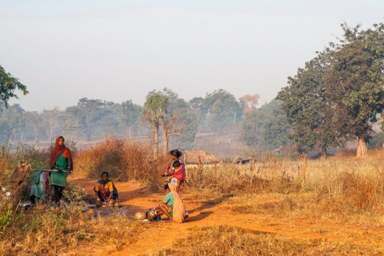 Regenerative Agriculture’s Structural Upswing: How Soil‑Centric Practices Could Redefine Food Security, Climate Resilience, and Rural Careers in the Global South
