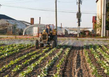 Regenerative Agriculture Takes Root in Academia: Universities as Catalysts for Systemic Food‑System Reform
