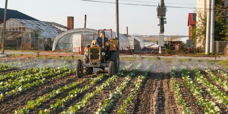 Regenerative Agriculture Takes Root in Academia: Universities as Catalysts for Systemic Food‑System Reform