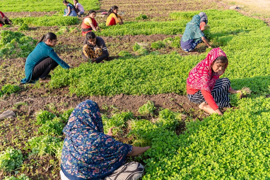 Regenerative Agriculture Takes Root in Academia: Universities as Catalysts for Systemic Food‑System Reform