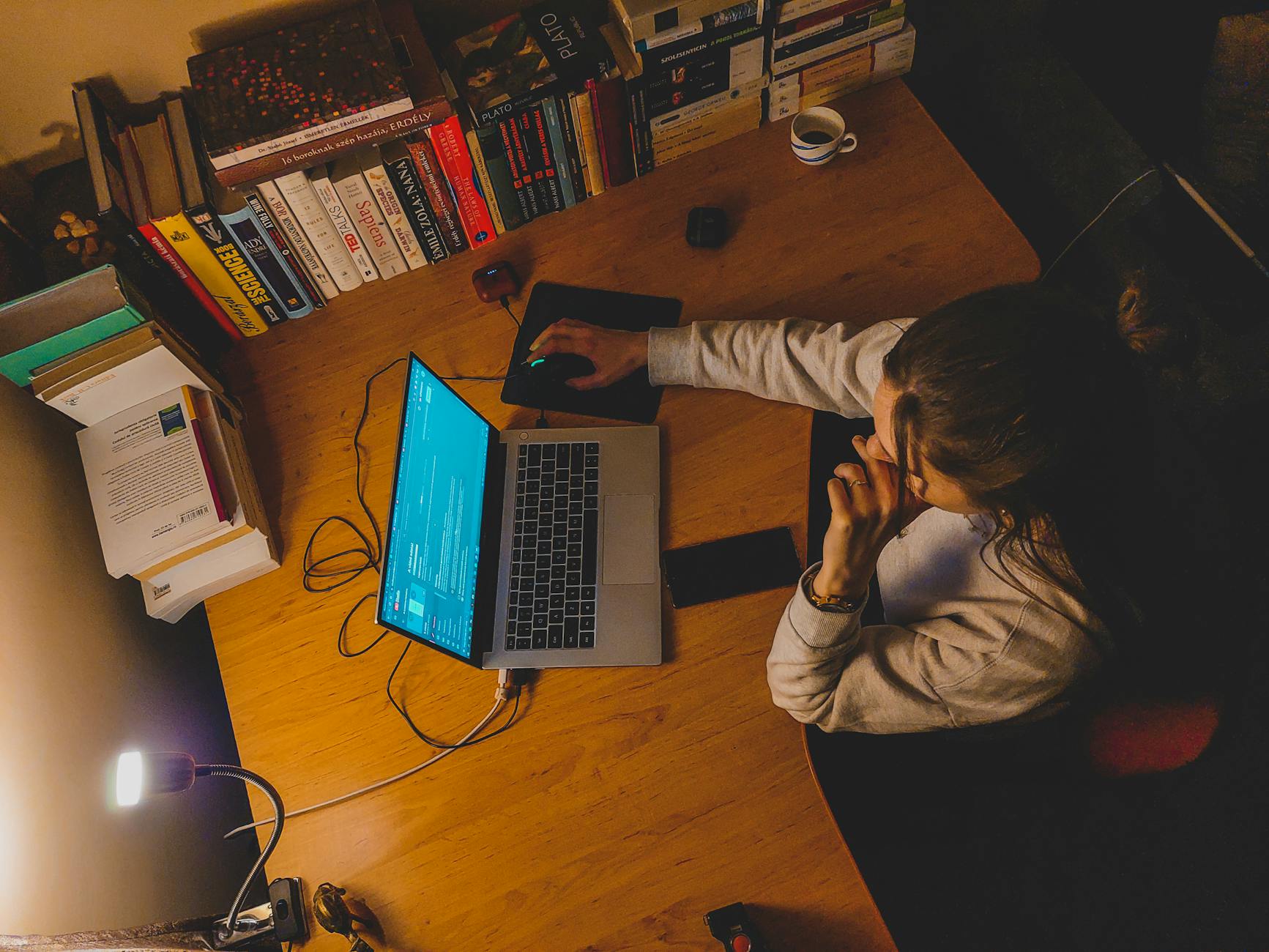 Remote Work’s Carbon Ledger: Structural Shifts, Institutional Levers, and the Future of Career Capital