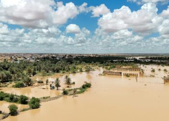 Resilient Futures or Fractured Paths? Climate‑Driven State Fragility in Sub‑Saharan Africa