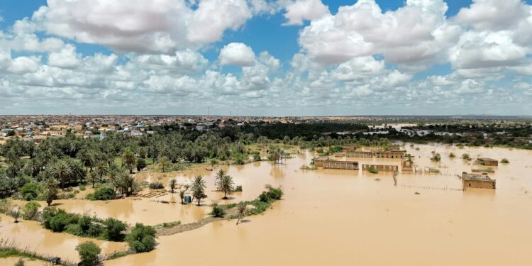 Resilient Futures or Fractured Paths? Climate‑Driven State Fragility in Sub‑Saharan Africa