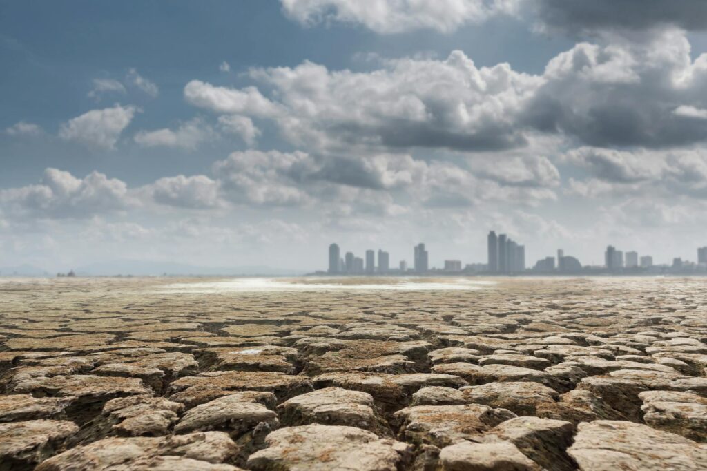 Resilient Futures or Fractured Paths? Climate‑Driven State Fragility in Sub‑Saharan Africa