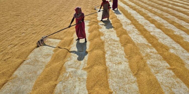 Rural Resilience: How Community Cooperatives Are Re‑Engineering Food Systems and Careers