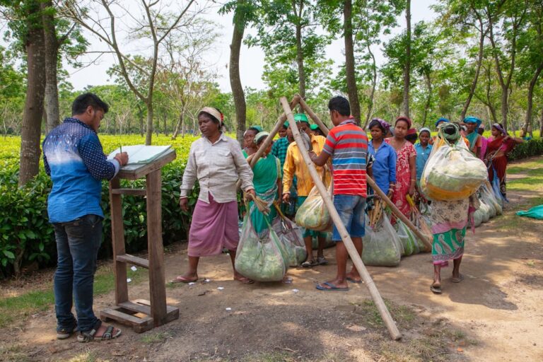Rural Resilience: How Community Cooperatives Are Re‑Engineering Food Systems and Careers