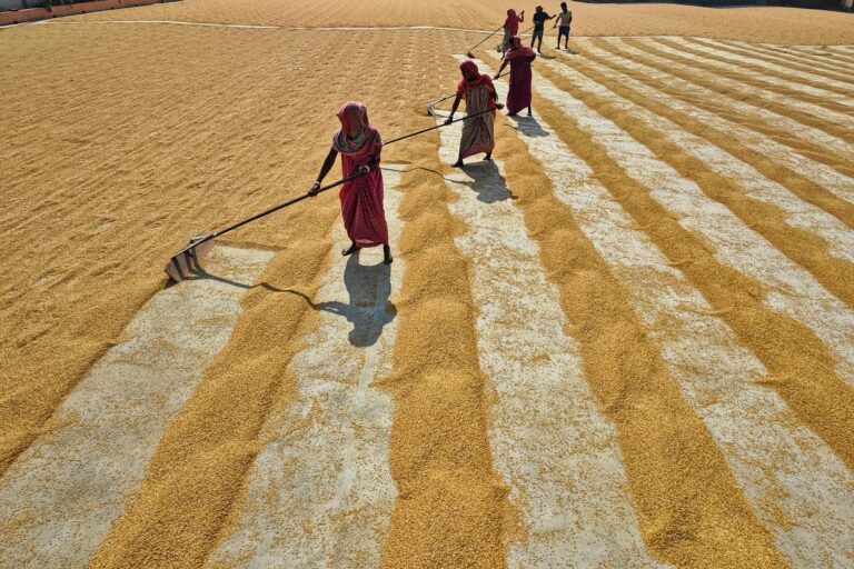 Rural Resilience: How Community Cooperatives Are Re‑Engineering Food Systems and Careers