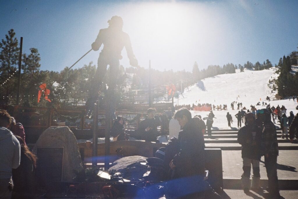 Skill‑Based Student Loans Reshape Career Capital and Institutional Power