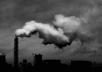 Sustainable Biorefineries: The Structural Shift Reshaping Energy, Labor and Power