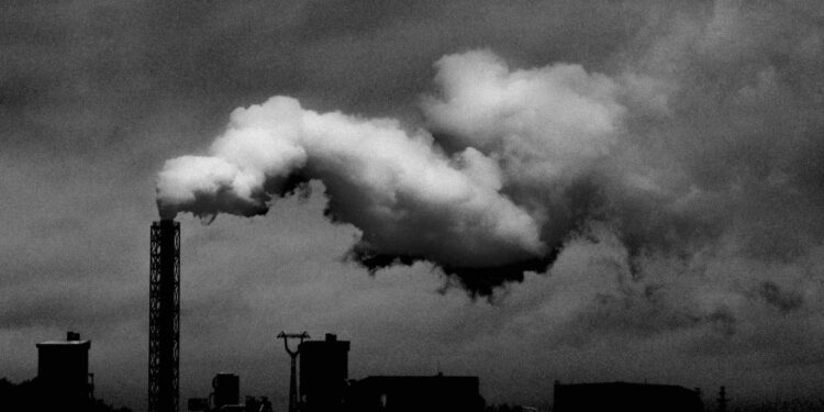 Sustainable Biorefineries: The Structural Shift Reshaping Energy, Labor and Power