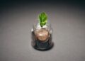 Sustainable Finance Regulations Redefine Startup Career Trajectories