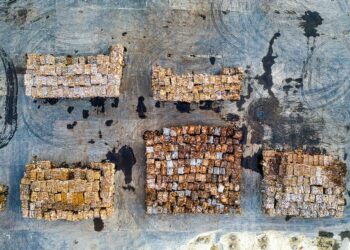 Sustainable Materials Redefine the Talent Landscape Across Global Industries