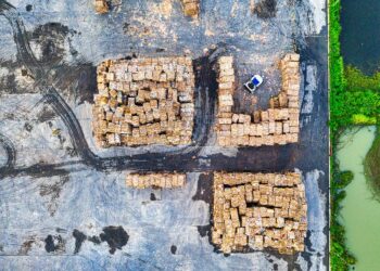 Sustainable Supply Chains: Unmasking Hidden Costs Behind “Green” Partnerships