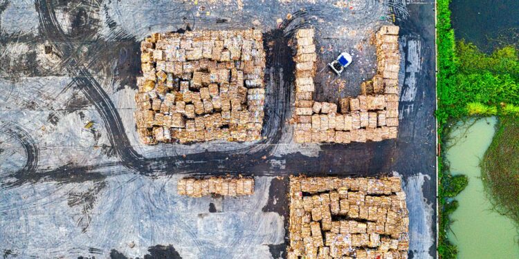 Sustainable Supply Chains: Unmasking Hidden Costs Behind “Green” Partnerships