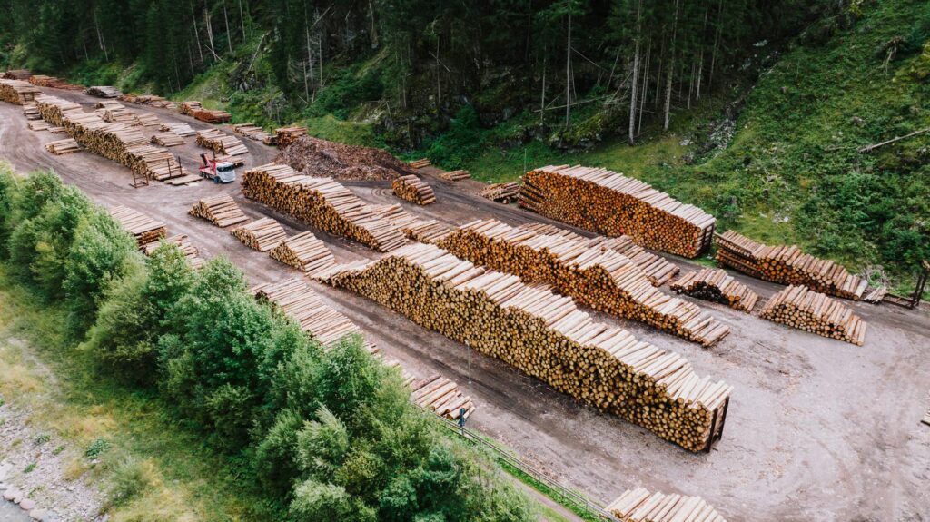 Sustainable Supply Chains: Unmasking Hidden Costs Behind “Green” Partnerships