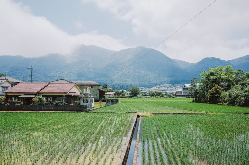 Sustainable Tourism as a Structural Lever for Rural Revitalization in Japan