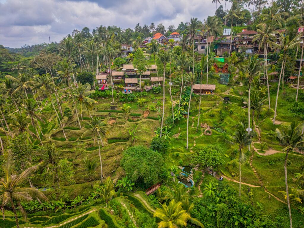 Sustainable Tourism’s Structural Surge: How Post‑Pandemic Destinations Are Redefining Career Capital and Institutional Power