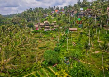 Sustainable Tourism’s Structural Surge: How Post‑Pandemic Destinations Are Redefining Career Capital and Institutional Power