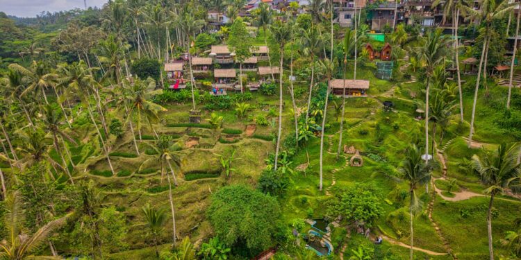 Sustainable Tourism’s Structural Surge: How Post‑Pandemic Destinations Are Redefining Career Capital and Institutional Power
