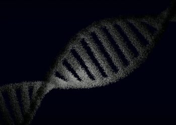 Synthetic Biology’s Curriculum Revolution: Redefining Engineering Talent Pipelines