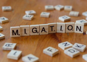 Talent Flows Reversed: How Nations Are Re‑Engineering International Mobility