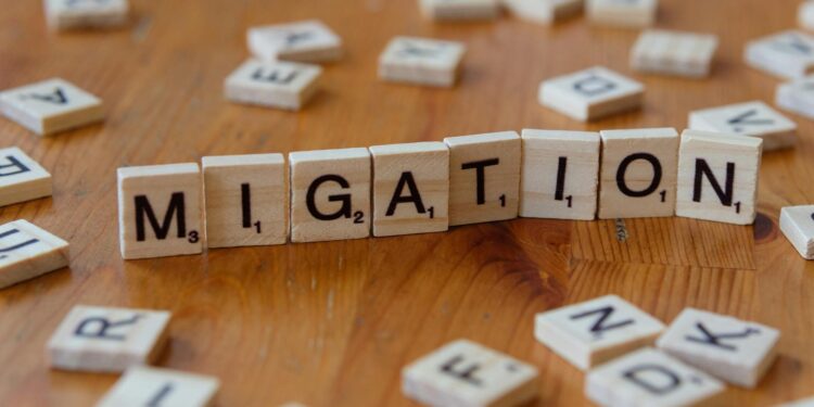 Talent Flows Reversed: How Nations Are Re‑Engineering International Mobility