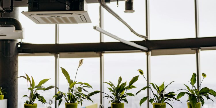 The Air Employees Breathe: How Indoor Microbiome Shifts are Reshaping Workplace Capital